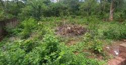 PLOT FOR SALE AT SANGOLDA