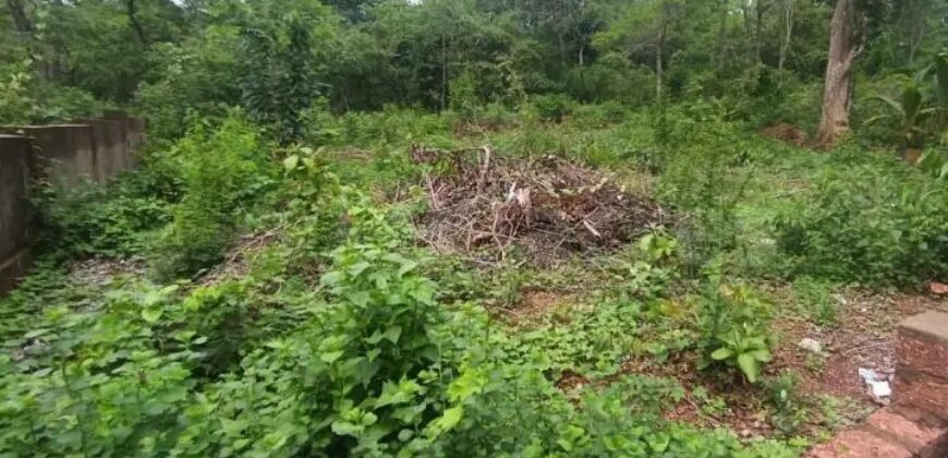 PLOT FOR SALE AT SANGOLDA