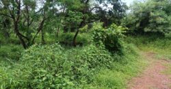 PLOT FOR SALE AT NERUL