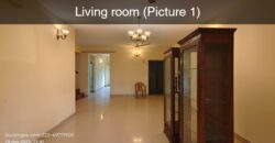 3 BHK Penthouse For Rent