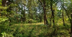 PLOT FOR SALE AT DABHIL, SAWANTWADI