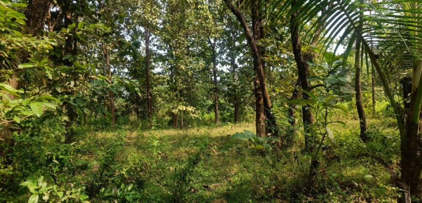 PLOT FOR SALE AT DABHIL, SAWANTWADI