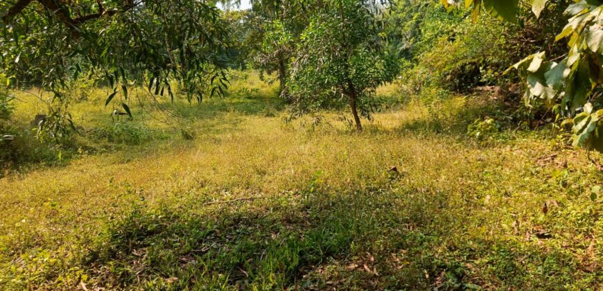 PLOT FOR SALE AT DABHIL, SAWANTWADI