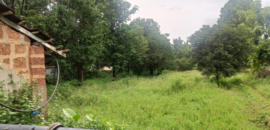 PLOT FOR SALE AT SANGOLDA