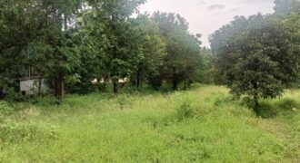 PLOT FOR SALE AT SANGOLDA