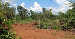 PLOT FOR SALE AT MAPUSA PEDDEM