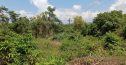 PLOT FOR SALE AT MAPUSA PEDDEM