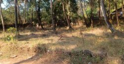 PLOT FOR SALE AT MAJORDA, SOUTH GOA