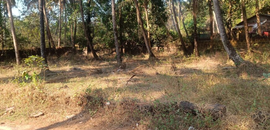 PLOT FOR SALE AT MAJORDA, SOUTH GOA
