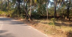PLOT FOR SALE AT MAJORDA, SOUTH GOA