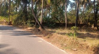 PLOT FOR SALE AT MAJORDA, SOUTH GOA