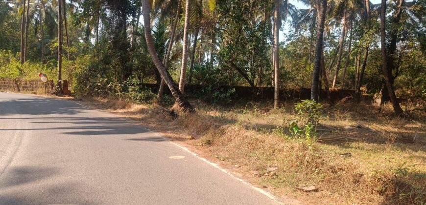 PLOT FOR SALE AT MAJORDA, SOUTH GOA