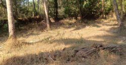 PLOT FOR SALE AT MAJORDA, SOUTH GOA