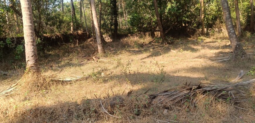 PLOT FOR SALE AT MAJORDA, SOUTH GOA