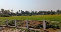 PLOT FOR SALE AT MAJORDA, SOUTH GOA