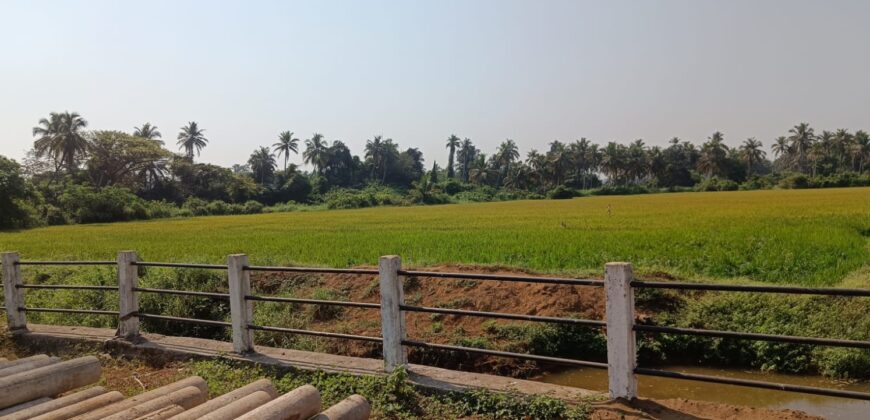 PLOT FOR SALE AT MAJORDA, SOUTH GOA