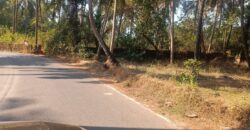 PLOT FOR SALE AT MAJORDA, SOUTH GOA