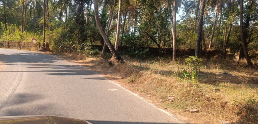 PLOT FOR SALE AT MAJORDA, SOUTH GOA