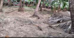 PLOT FOR SALE AT UTORDA, SOUTH GOA