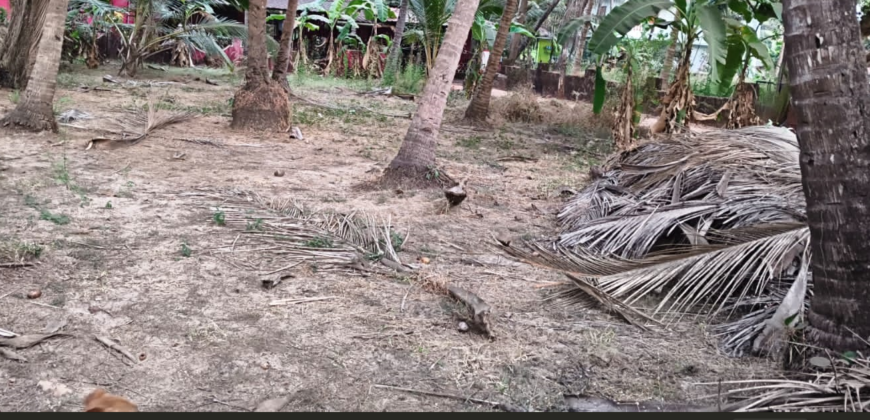 PLOT FOR SALE AT UTORDA, SOUTH GOA