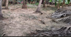 PLOT FOR SALE AT UTORDA, SOUTH GOA