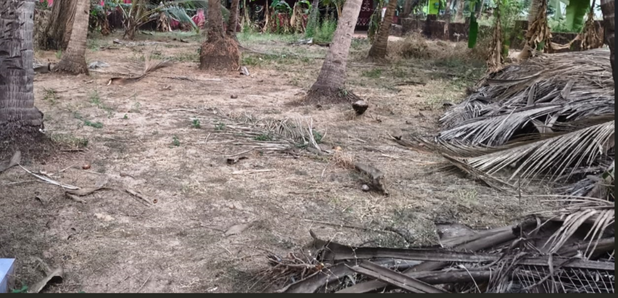 PLOT FOR SALE AT UTORDA, SOUTH GOA