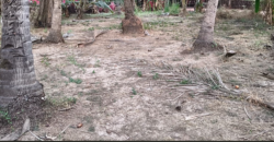 PLOT FOR SALE AT UTORDA, SOUTH GOA