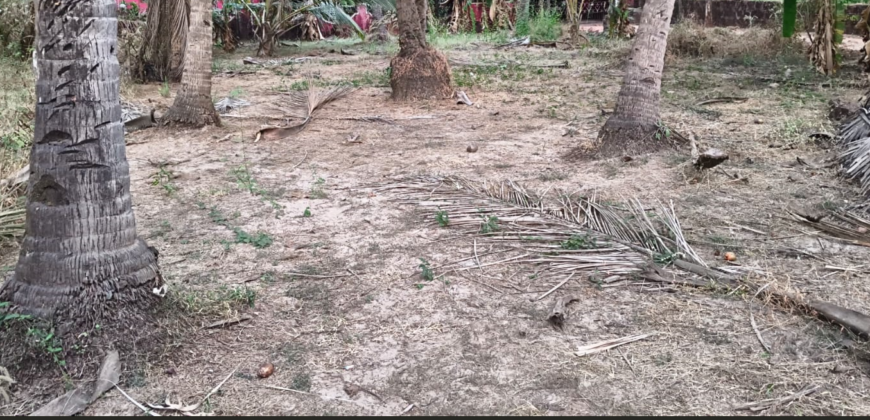 PLOT FOR SALE AT UTORDA, SOUTH GOA