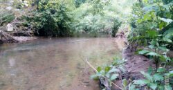 For Sale: River-Touch NA Plots in Dodamarg