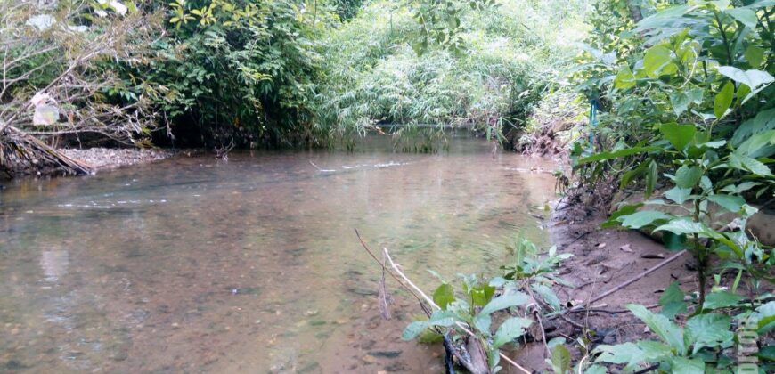 For Sale: River-Touch NA Plots in Dodamarg
