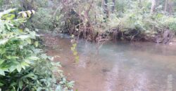 For Sale: River-Touch NA Plots in Dodamarg