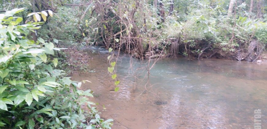 For Sale: River-Touch NA Plots in Dodamarg