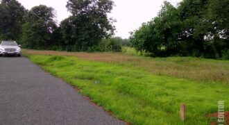 For Sale: River-Touch NA Plots in Dodamarg