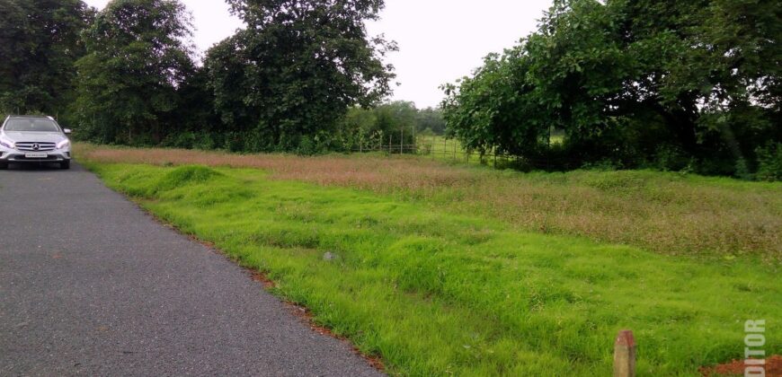 For Sale: River-Touch NA Plots in Dodamarg