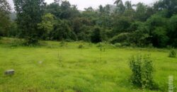 For Sale: River-Touch NA Plots in Dodamarg