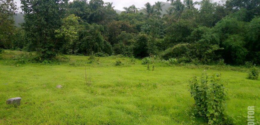 For Sale: River-Touch NA Plots in Dodamarg